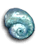 File:Moon Shell.png