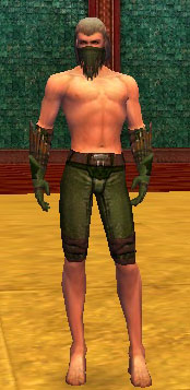 File:Ranger Elite Druid armor m gray front arms legs.jpg