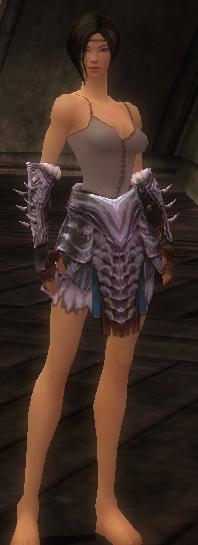 File:Warrior Norn armor f gray front arms legs.jpg