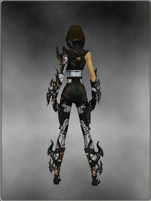 File:Assassin Elite Kurzick armor f white back.jpg