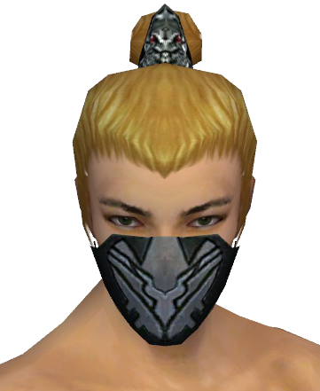 File:Assassin Kurzick Mask m gray front.png