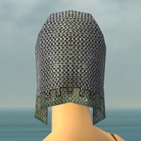 File:Warrior Tyrian armor f gray back head.jpg
