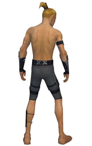File:Assassin Shing Jea armor m gray back arms legs.png