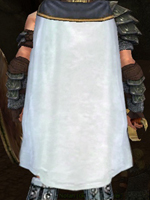 Guild Muslim Brothers and Sisters cape.jpg