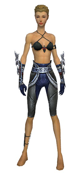 File:Assassin Norn armor f gray front arms legs.png