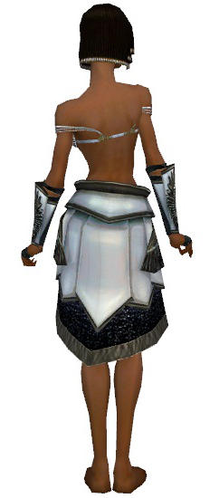 File:Paragon Obsidian armor f gray back arms legs.png