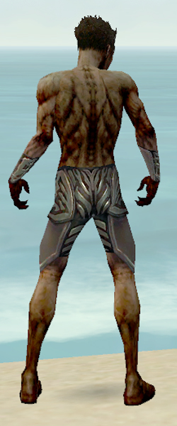 File:Necromancer Istani armor m gray back arms legs.jpg