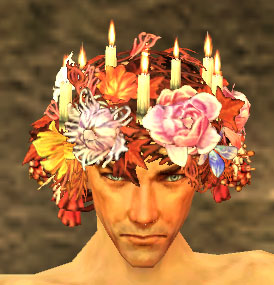 File:Wreath Crown m elementalist.jpg