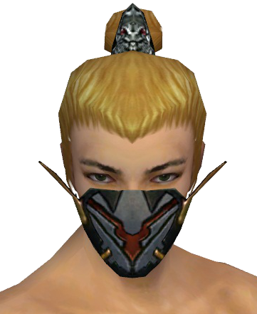 File:Assassin Elite Kurzick Mask m gray front.png