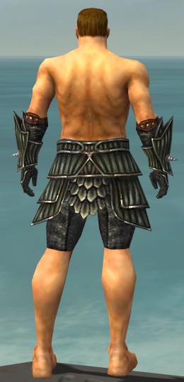 File:Warrior Wyvern armor m gray back arms legs.jpg