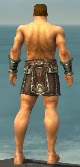 File:Warrior Gladiator armor m gray back arms legs.jpg