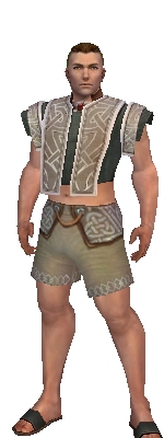 Monk Tyrian armor m gray front chest feet.jpg