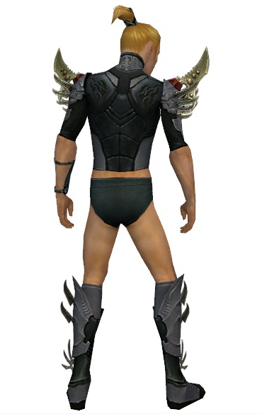 File:Assassin Elite Imperial armor m gray back chest feet.png