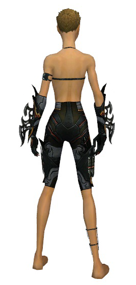 File:Assassin Elite Kurzick armor f gray back arms legs.png