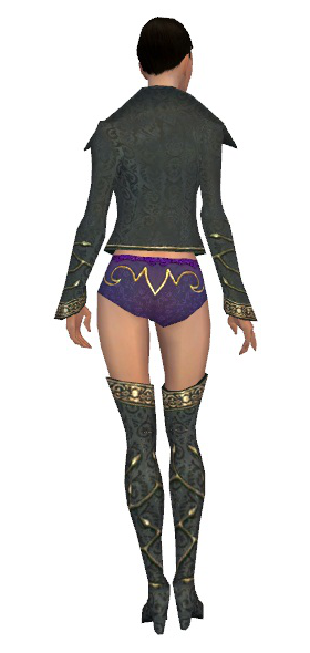 File:Mesmer Krytan armor f gray back chest feet.png