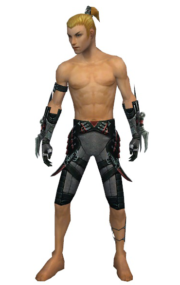 File:Assassin Elite Canthan armor m gray front arms legs.png