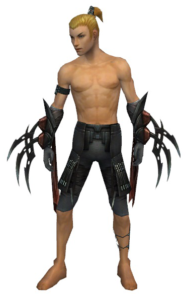File:Assassin Ancient armor m gray front arms legs.png