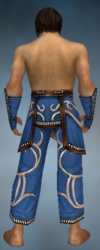 Monk Shing Jea armor m blue back arms legs.jpg