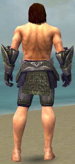 File:Warrior Platemail armor m gray back arms legs.jpg