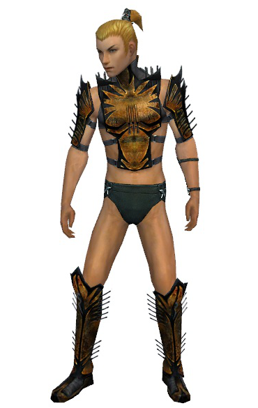 File:Assassin Elite Exotic armor m gray front chest feet.png
