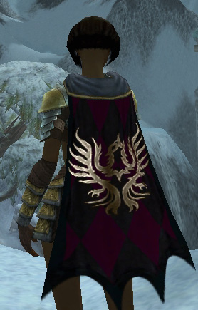 File:Guild Bald Fat Lazy And Proud cape.jpg