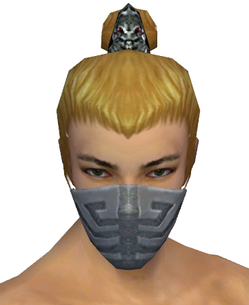 File:Assassin Elite Canthan Mask m gray front.png