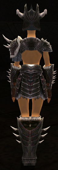 File:Warrior Norn armor f dyed back.jpg
