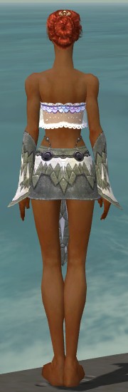 File:Elementalist Iceforged armor f gray back arms legs.jpg