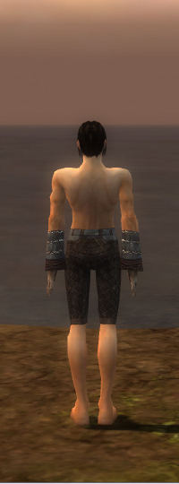 File:Elementalist Vabbian armor m gray back arms legs.jpg