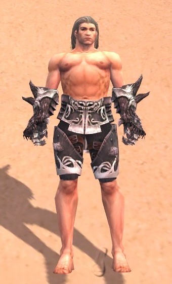 File:Warrior Primeval armor m front arms legs.jpg