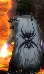 Guild The Deathh Warriors cape.jpg