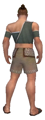 File:Monk Ascalon armor m gray back chest feet.jpg