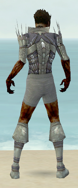 File:Necromancer Cabal armor m gray back chest feet.jpg