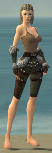 Ranger Elite Fur-Lined armor f gray front arms legs.jpg