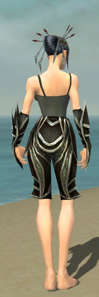 File:Necromancer Elite Sunspear armor f gray back arms legs.jpg