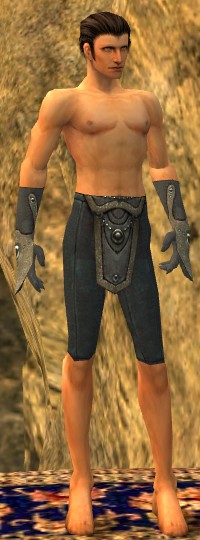 File:Elementalist Tyrian armor m gray front arms legs.jpg