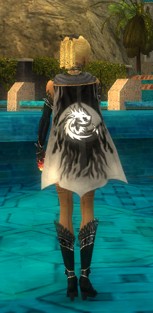 File:Guild Collateral Damage cape.png