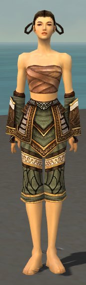 File:Monk Elite Canthan armor f gray front arms legs.jpg