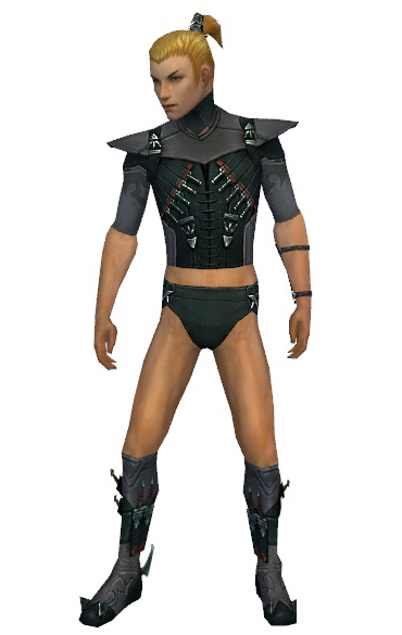File:Assassin Seitung armor m gray front chest feet.png