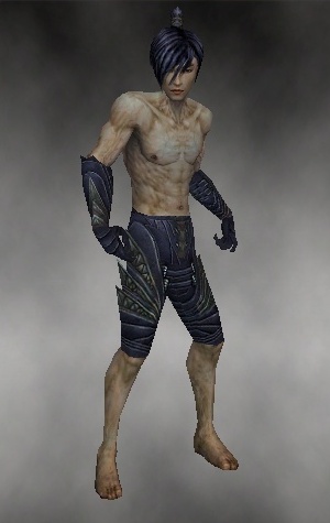 File:Necromancer Krytan armor m gray front arms legs.jpg