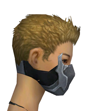 File:Assassin Canthan Mask f gray right.png