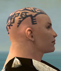 File:Monk Elite Sunspear armor m gray right head.jpg
