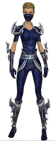 File:Assassin Norn armor f dyed front.png