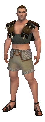File:Monk Sunspear armor m gray front chest feet.jpg