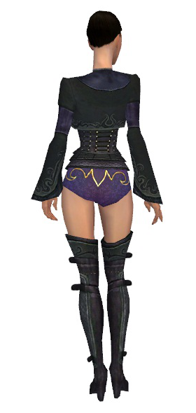 File:Mesmer Elite Rogue armor f gray back chest feet.png