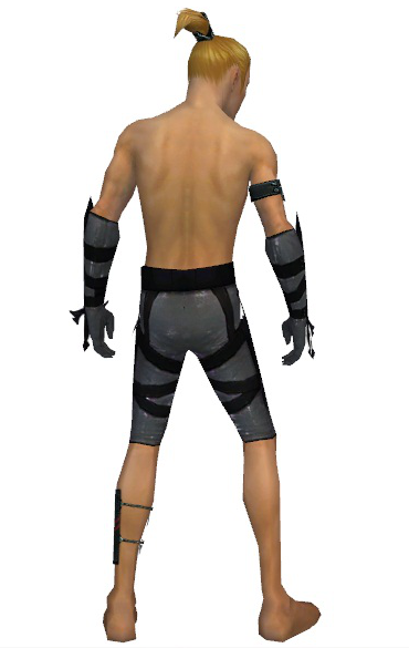 File:Assassin Obsidian armor m gray back arms legs.png