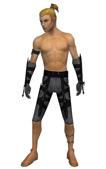 File:Assassin Obsidian armor m gray front arms legs.png