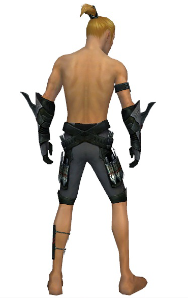 File:Assassin Imperial armor m gray back arms legs.png