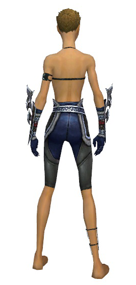 File:Assassin Norn armor f gray back arms legs.png