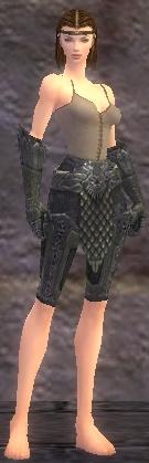 Warrior Elite Platemail armor f gray front arms legs.jpg